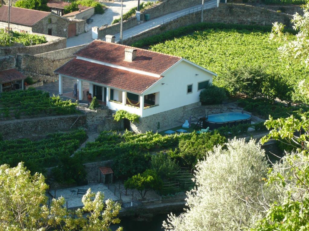 Pinhão